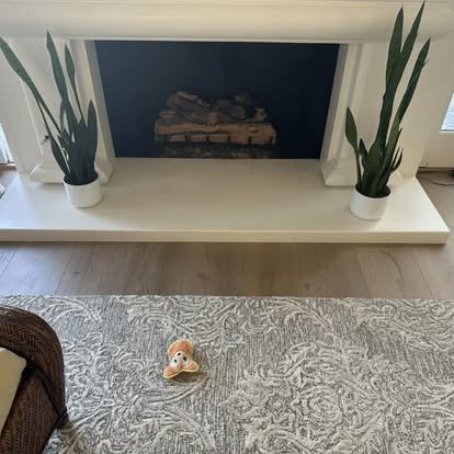 Polished concrete floor